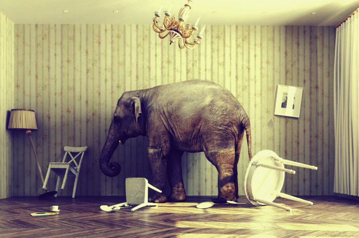  think social
